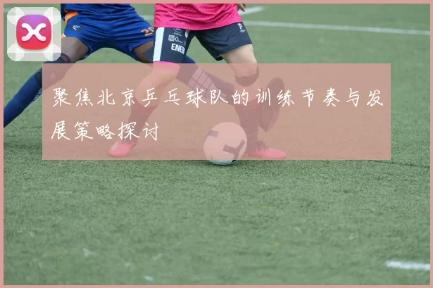 聚焦北京乒乓球队的训练节奏与发展策略探讨
